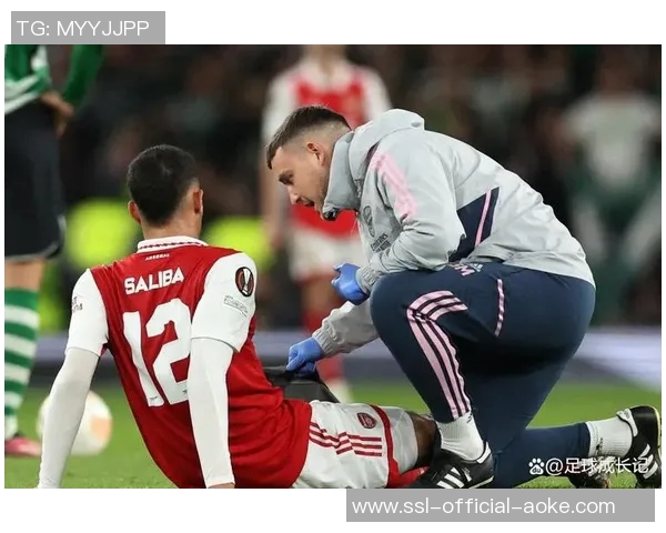 阿森纳vs伯恩利法国球员表现：萨利巴完成任务